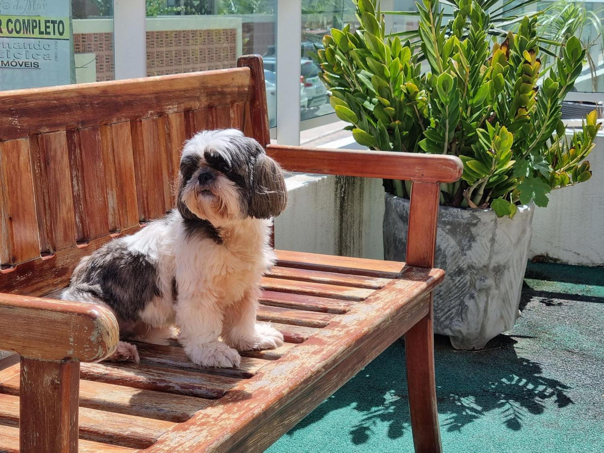 Apartamento Garden - Pet Friendly Barra de São Miguel Exterior foto